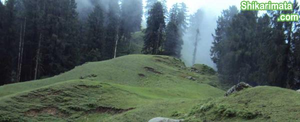 Bagsaid-valley-Mandi---Near-Shikari-Devi