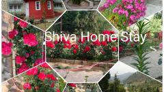 Shiva Home Stay pandavshila Janjehli